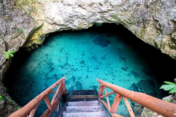 Cenotes Casa Tortuga