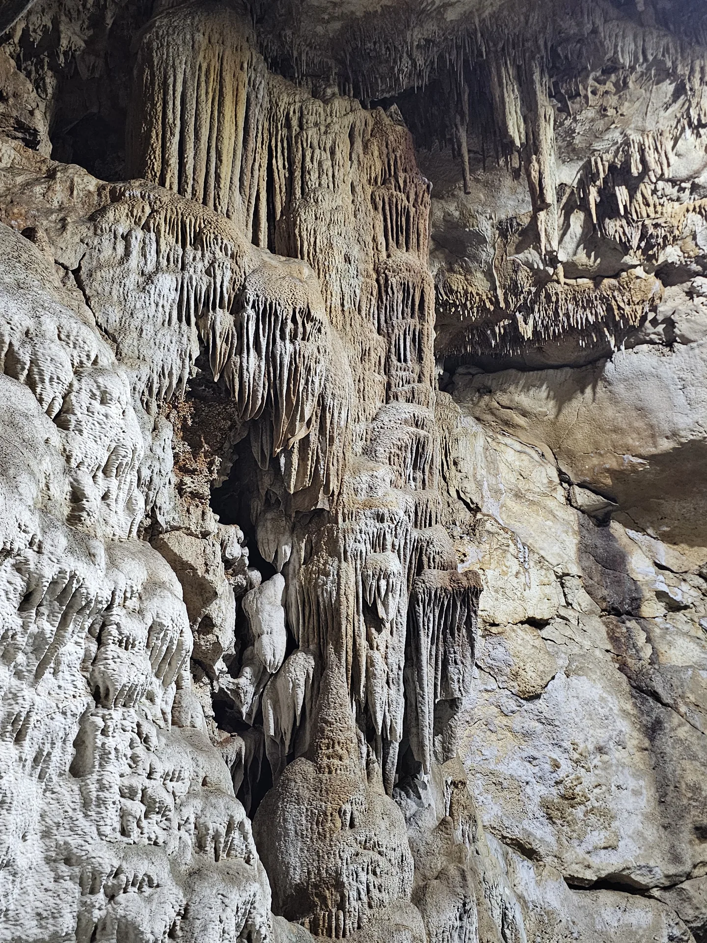 Estalactitas cenote Santa Cruz